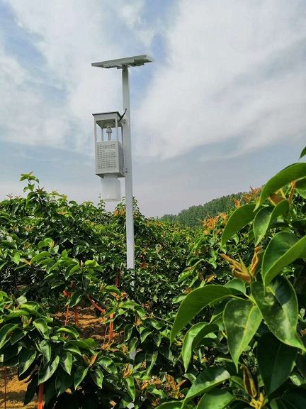91视频一区二区三区太阳能风吸式杀虫灯